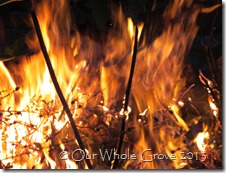 dual flame dual flame