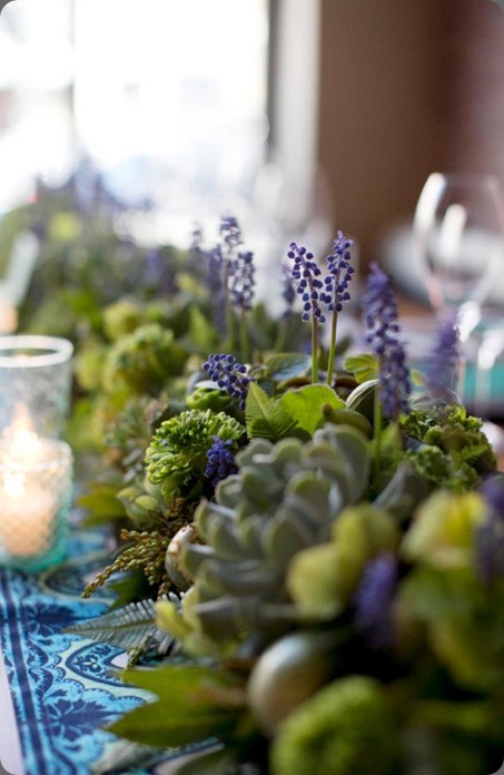 muscari 1001305_578119868906661_2075071657_n passionflower muscari 1001305_578119868906661_2075071657_n passionflower
