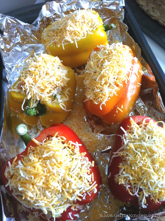 [Peppers%2520%25281%2529%255B14%255D.jpg]