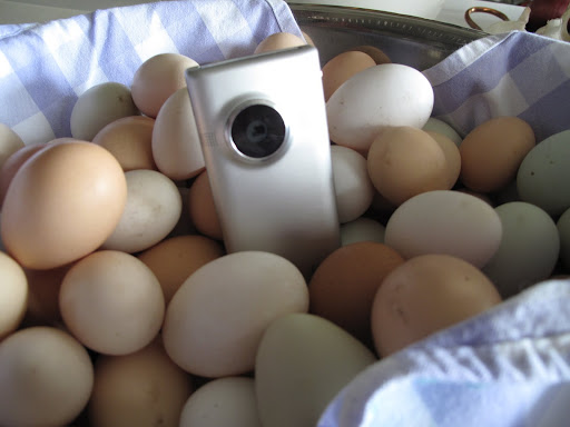 And just to be sure, let's hide a camera amongst the fresh eggs - a brilliant spot!
