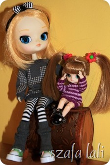 IMG_8236 IMG_8236