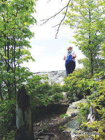 Peering out of woods 2x.jpg