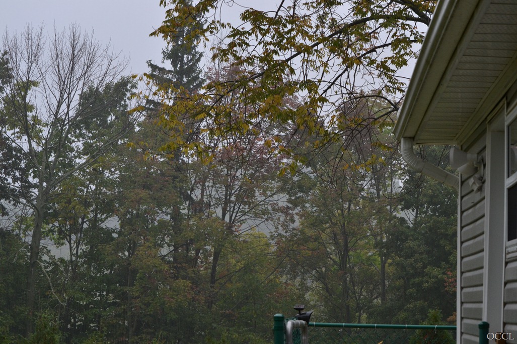 [DSC_28683.jpg]