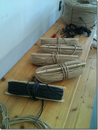 IMG_2495 IMG_2495