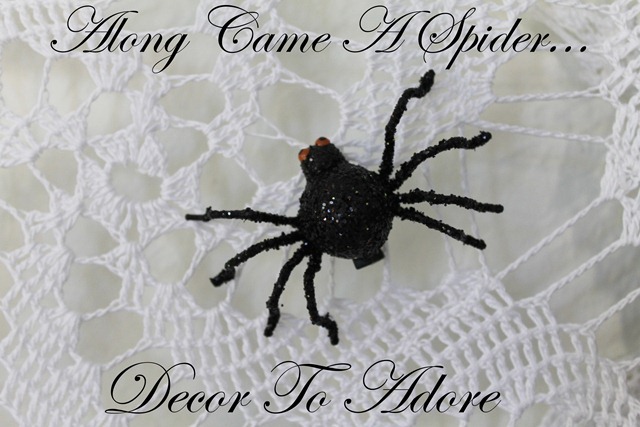 spider 005-001