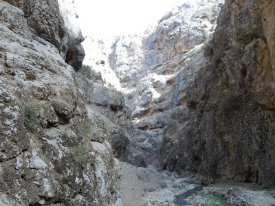 DSCN3873.jpg