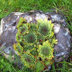 20100825_061_small.JPG