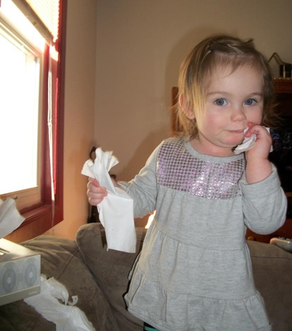 [Cassidy%2527s%2520tissue%2520party%25202%255B3%255D.jpg]