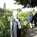 IMAG0791.JPG