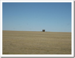 IMG_1118