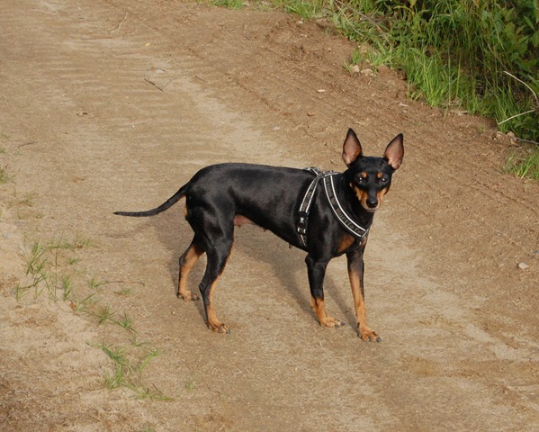 [DSC_7916-1%255B3%255D.jpg]