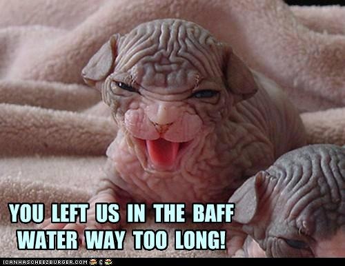 [funny-pictures-you-left-us-in-the-baff-water-way-too-long%255B2%255D.jpg]
