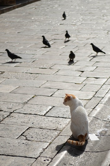 [Old%2520Town6%255B4%255D.jpg]