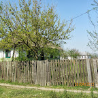 IMG_7504.JPG