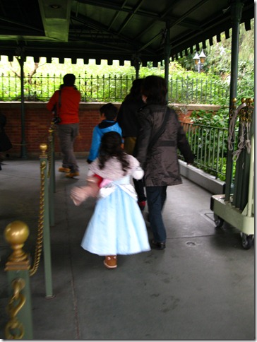 IMG_3167 IMG_3167
