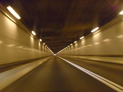 SDC12217 SDC12217