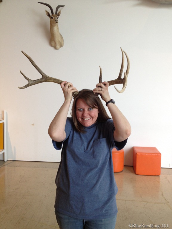 [liz%2520antlers%255B11%255D.jpg]
