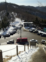 IMG_0222.jpg Photo