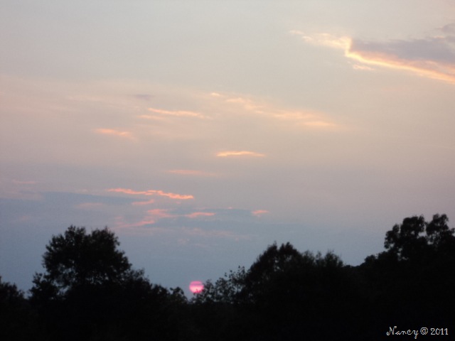 [DSC036486.jpg]
