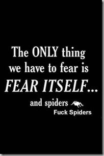 fear and spiders2