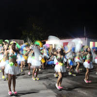  Carnaval_Cantanhede_Bloco_Cana_Limao_2012
