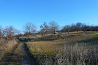 P1090781.JPG