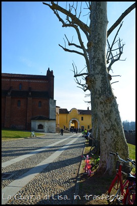 DSC_0436 DSC_0436
