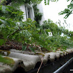 20100825_096_small.JPG