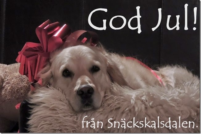 God Jul 2014