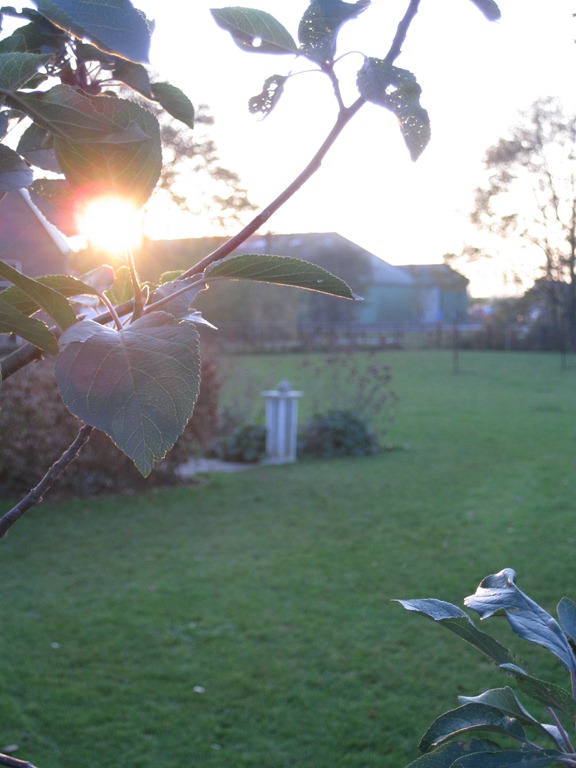 [IMG_5688%255B4%255D.jpg]