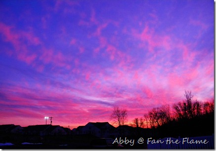 Gossamer Sunset, & Life! 022 Gossamer Sunset, & Life! 022