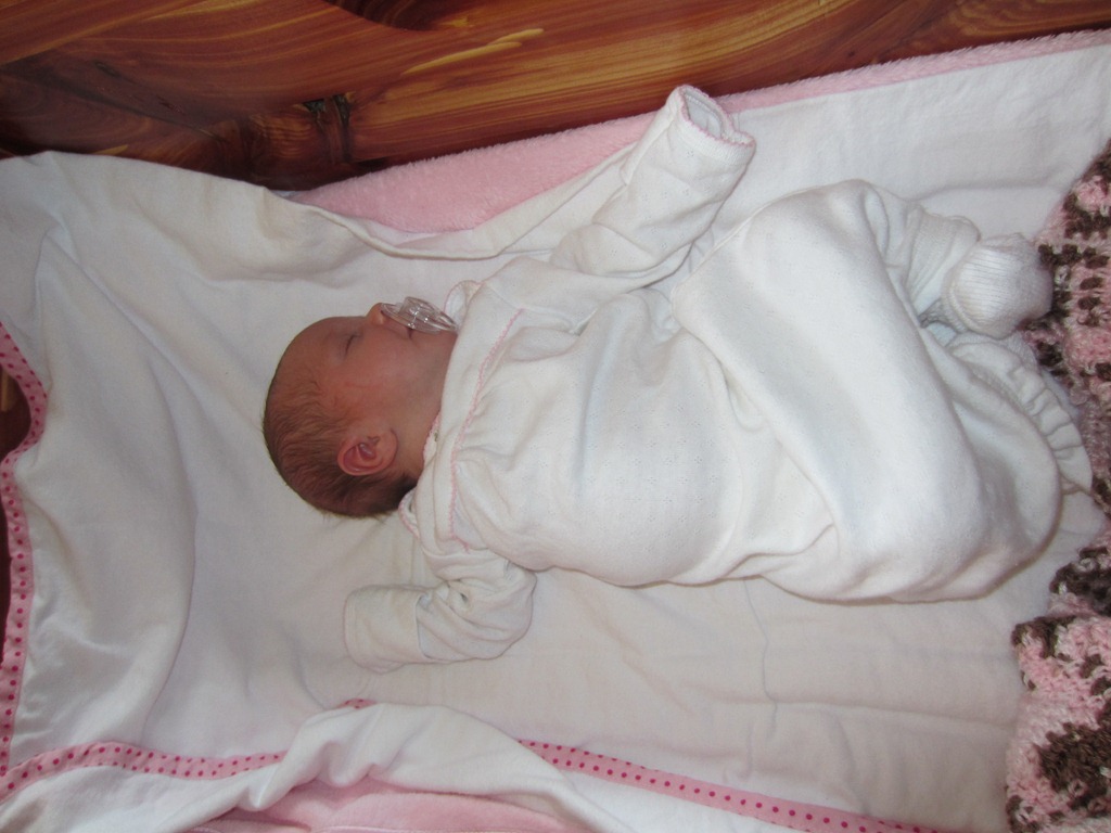 [Zoey-in-cradle23.jpg]
