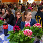 IMGP7436.jpg