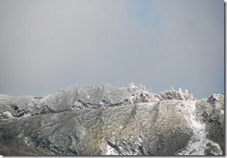 2013-01-27 合歡山-雪之旅 244