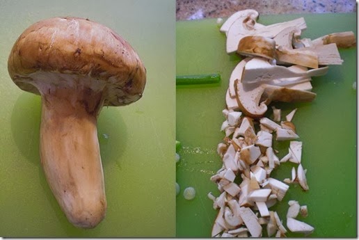 matsutake composition matsutake composition