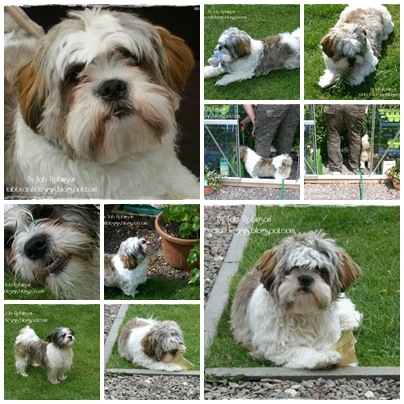 [Teddy%2520June%25202011%255B3%255D.jpg]