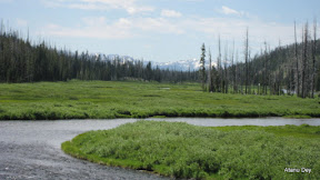 IMG_4180.jpg