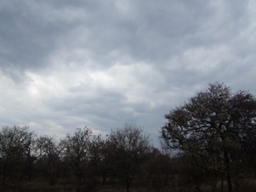 [DSCF7723%255B5%255D.jpg]