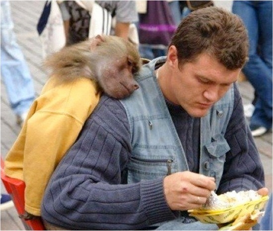 [animals-and-humans_10%255B2%255D.jpg]