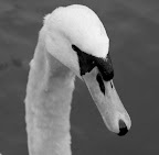 IMG_7184.JPG