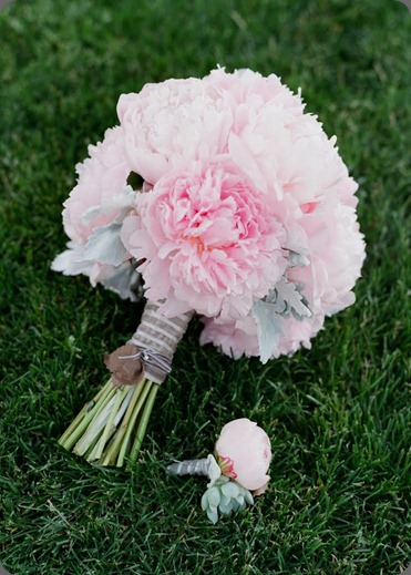 bloomers-22 bloomersflowers.blogspot bloomers-22 bloomersflowers.blogspot