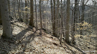 2011-02-18_14-12-51_136.jpg
