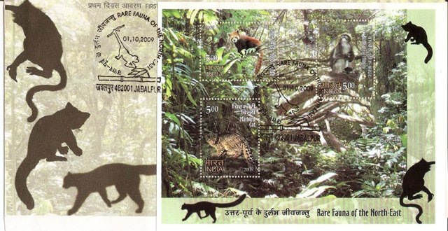 [%252873%2529%25201%2520Oct.2009Rare%2520Fauna%2520of%2520the%2520North%2520East%255B5%255D.jpg]