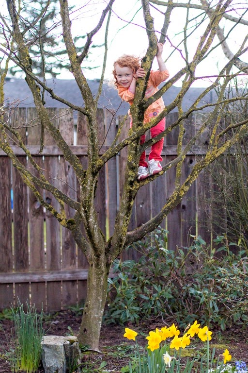 [IMG_7469%255B3%255D.jpg]