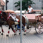 DSCF0634 Rynek Glówny, 3rdJuly08.jpg DSCF0634 Rynek Glówny, 3rdJuly08.jpg