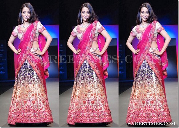 Raima_Sen_Embroidery_Saree