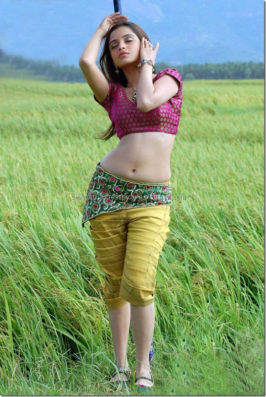telugu-sexy-actress-Sheena-Shahabadi-leg-stills