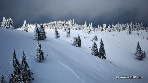 DSC_2149.jpg