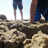 DSC02503.JPG