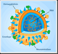 virus flu[1]